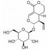 獐牙菜苷，化学对照品(20mg)