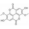 3,3'-O-二甲基鞣花酸，分析标准品,HPLC≥98%
