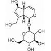 桃叶珊瑚苷，化学对照品(20mg)