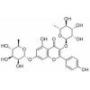 山奈苷，化学对照品(20mg)