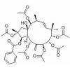 Jatrophane 2,分析标准品,HPLC≥98%