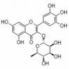 杨梅苷，化学对照品(20mg)