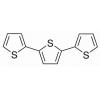 α-三联噻吩，化学对照品(20mg)