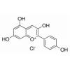 天竺葵素（氯化花葵素），分析标准品,HPLC≥96%