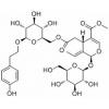 特女贞苷，化学对照品(20mg)