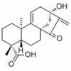 Pterisolic acid C，分析标准品,HPLC≥98%