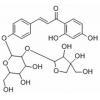 芹糖异甘草苷，分析标准品,HPLC≥98%