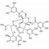 诃子林鞣酸，分析标准品,HPLC≥98%