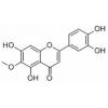 泽兰黄酮，分析标准品,HPLC≥98%