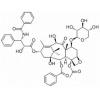 7-木糖苷-10-脱乙酰基紫杉醇，分析标准品,HPLC≥70%，鉴别用