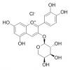 氯化矢车菊素-3-O-阿拉伯糖苷，分析标准品,HPLC≥95%