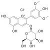 氯化锦葵色素-3-O-半乳糖苷，分析标准品,HPLC≥95%