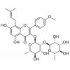 鼠李糖基淫羊藿次苷II，分析标准品,HPLC≥98%