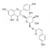 山奈酚-3-O-(6''-O-顺-香豆酰基)葡萄糖苷，分析标准品,HPLC≥95%
