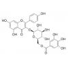 山奈酚 3-O-(6''-没食子酰基)-beta-D-吡喃葡萄糖苷，分析标准品,HPLC≥95%