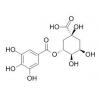 3-没食子酰基奎宁酸，分析标准品,HPLC≥95%