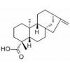 贝壳杉烯酸，分析标准品,HPLC≥98%