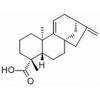 Grandiflorenic acid，分析标准品,HPLC≥98%