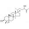 25-环木菠萝烯-3,24-二醇，分析标准品,HPLC≥98%