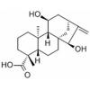 11,15-二羟基-16-贝壳杉烯-19-酸，分析标准品,HPLC≥98%