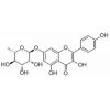 Kaempferol 7-O-rhamnoside，分析标准品,HPLC≥98%