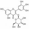 杨梅素-3-O-半乳糖苷，分析标准品,HPLC≥98%
