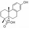 13-羟基-8,11,13-罗汉松科三烯-18-酸，分析标准品,HPLC≥98%