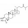 1-Dehydroxy-23-deoxojessic acid，分析标准品,HPLC≥98%