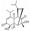 3,10-Dihydroxydielmentha-5,11-diene-4,9-dione，分析标准品,HPLC≥98%
