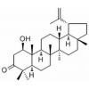 算盘子酮醇，分析标准品,HPLC≥98%