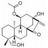 叶含乙酰瘿花香茶菜素 A，分析标准品,HPLC≥98%