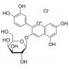 矢车菊素半乳糖苷，分析标准品,HPLC≥97%