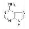 腺嘌呤，分析标准品,HPLC≥98%