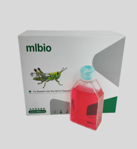 MLTC-1小鼠睾丸间质细胞瘤细胞主图