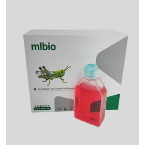 人结肠平滑肌细胞主图