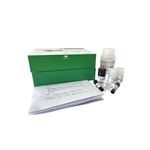 土壤天冬酰胺酶(S-ASNase)试剂盒分光法/48样