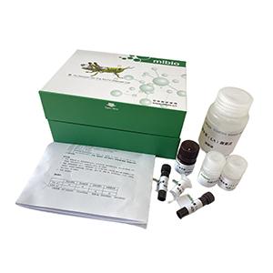 土壤精氨酸脱氨酶活性测定试剂盒分光法/24样