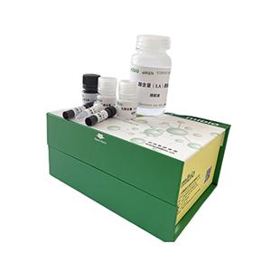 Mg2+- ATP 酶试剂盒分光法/24样