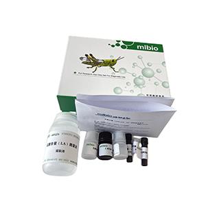 β-羟丁酸/β-羟基丁酸含量检测试剂盒(酶比色法)分光法/48样