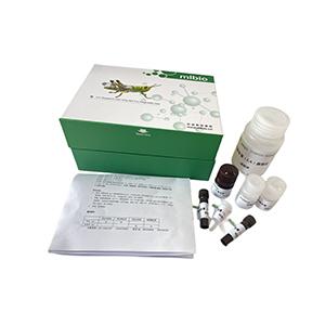 β-羟丁酸/β-羟基丁酸含量检测试剂盒(WST-8法显色)分光法/24样