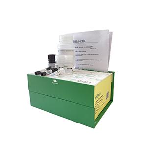 抗性淀粉和非抗性淀粉含量(酶法)试剂盒微板法/96样