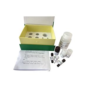 磷脂酸磷酸酯酶(PPase)活性测定试剂盒微板法/96样