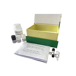 Caspase-2 活性检测试剂盒