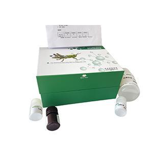 丁酰胆碱酯酶(BchE)活性检测试剂盒(微量法)