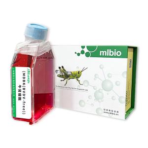 MDBK(BVDV-free)牛肾细胞
