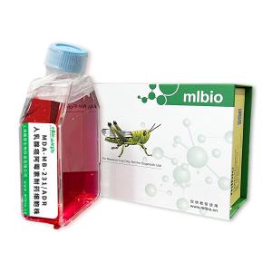 MDA-MB-231/ADR人乳腺癌阿霉素耐药细胞株