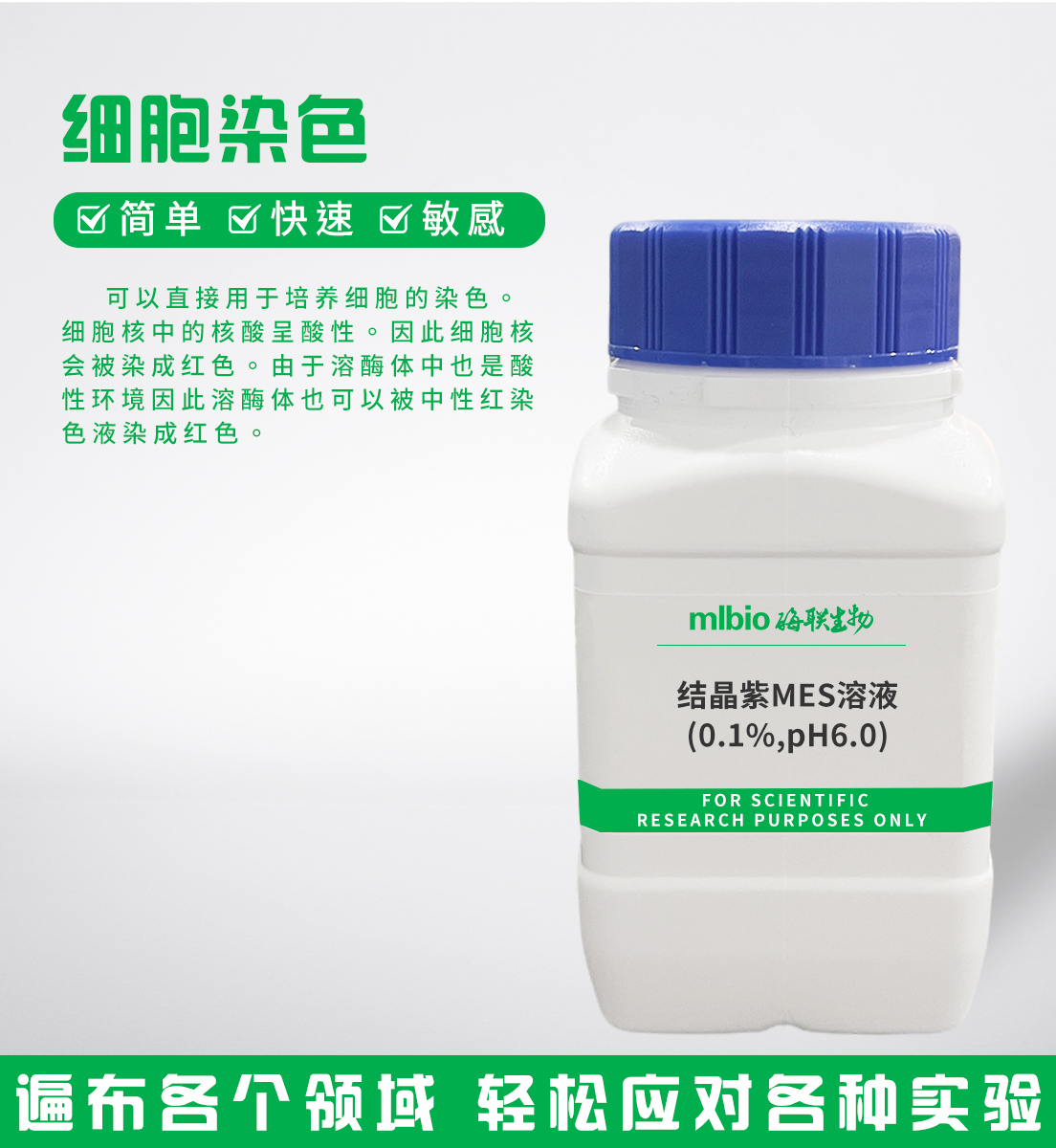 结晶紫MES溶液(0.1%,pH6.0)