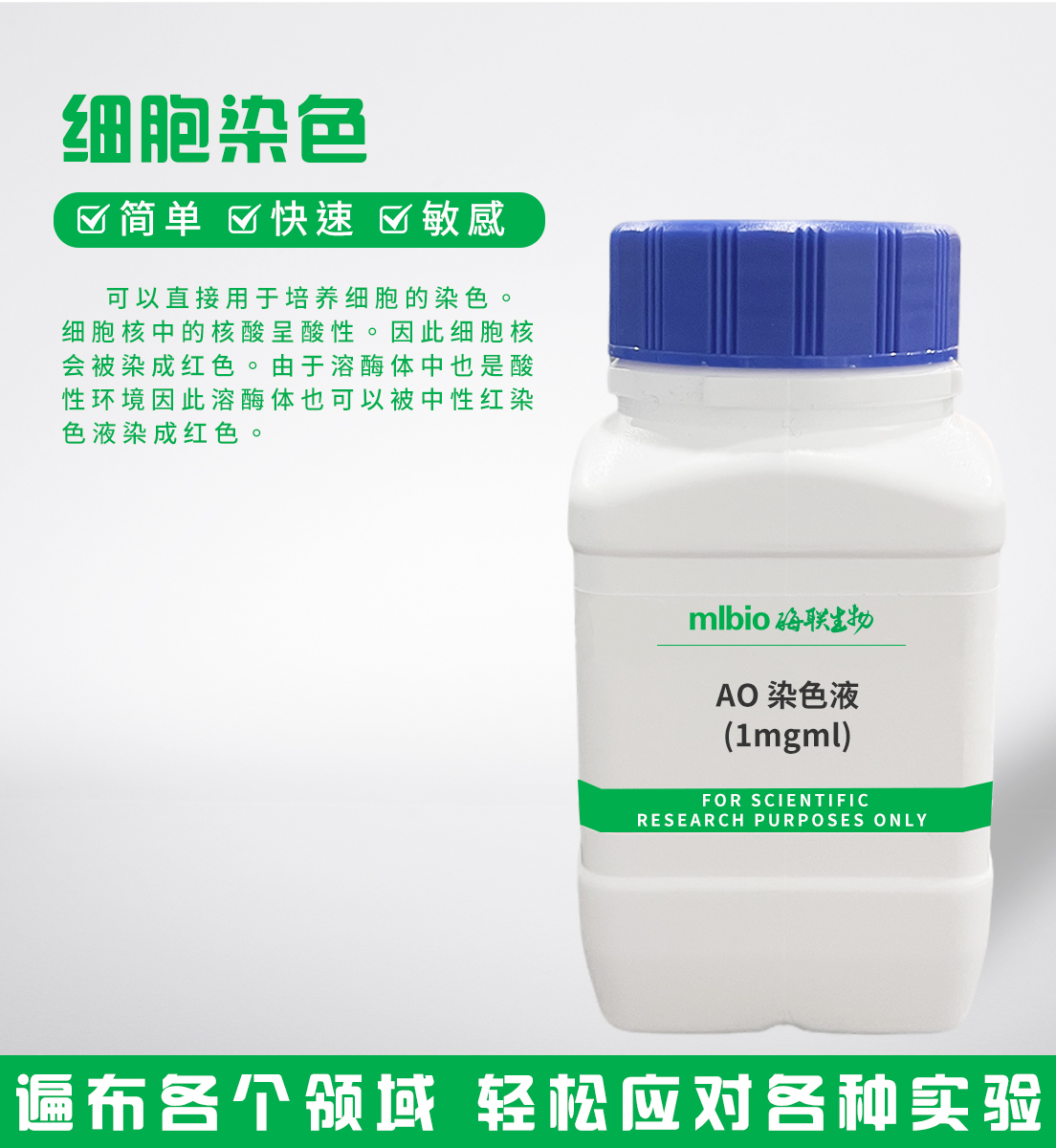 AO染色液(1mg/ml)