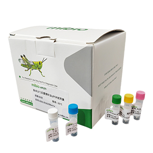 诺如病毒G1型探针法qRT-PCR试剂盒(不含内参)主图