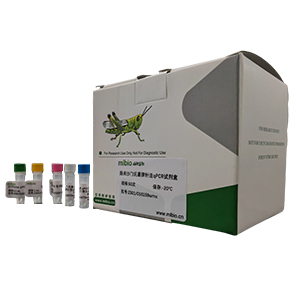 节状古柏线虫探针法qPCR试剂盒(不含内参)主图